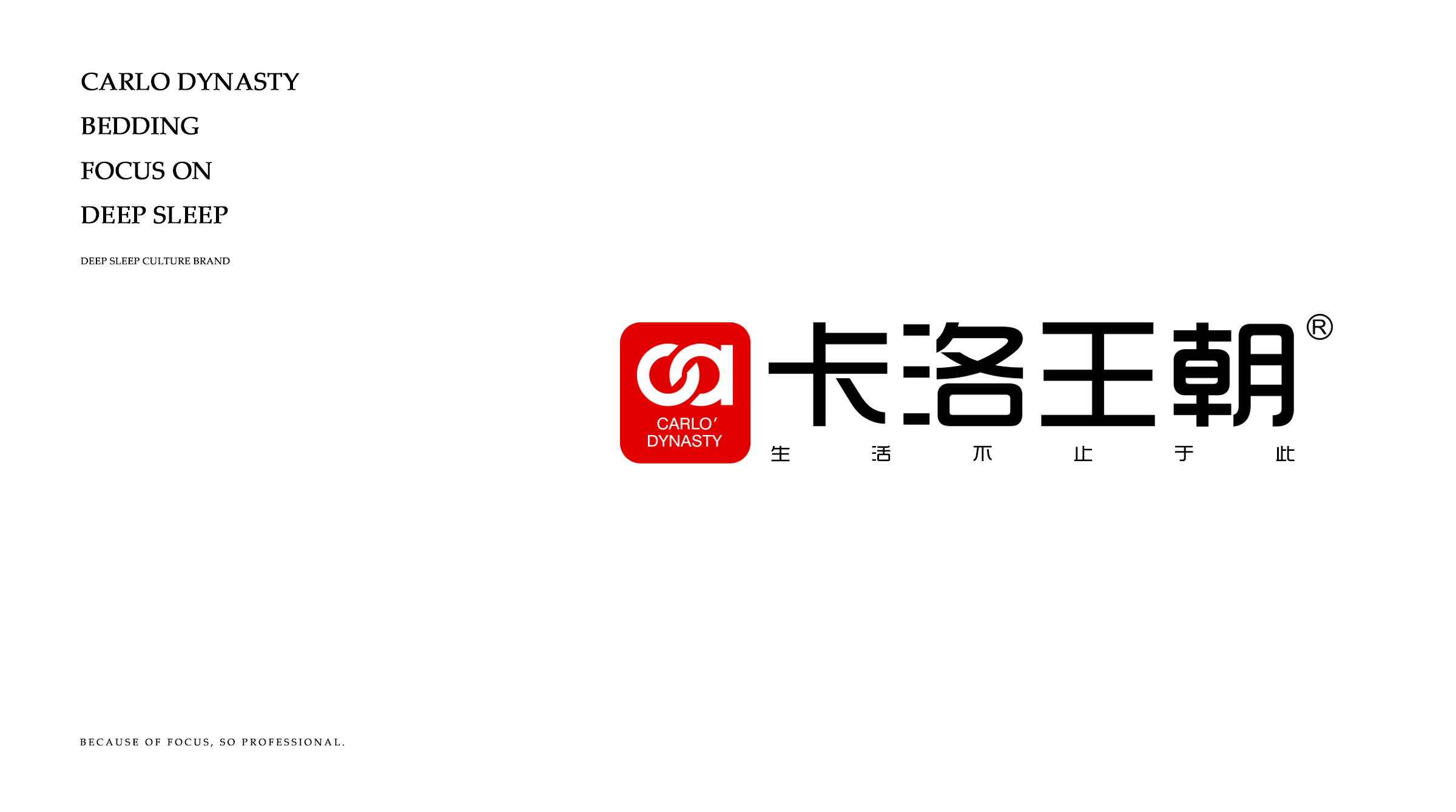 龙江镇人民政府关于第39届国际龙家具展览会举办时间的公告